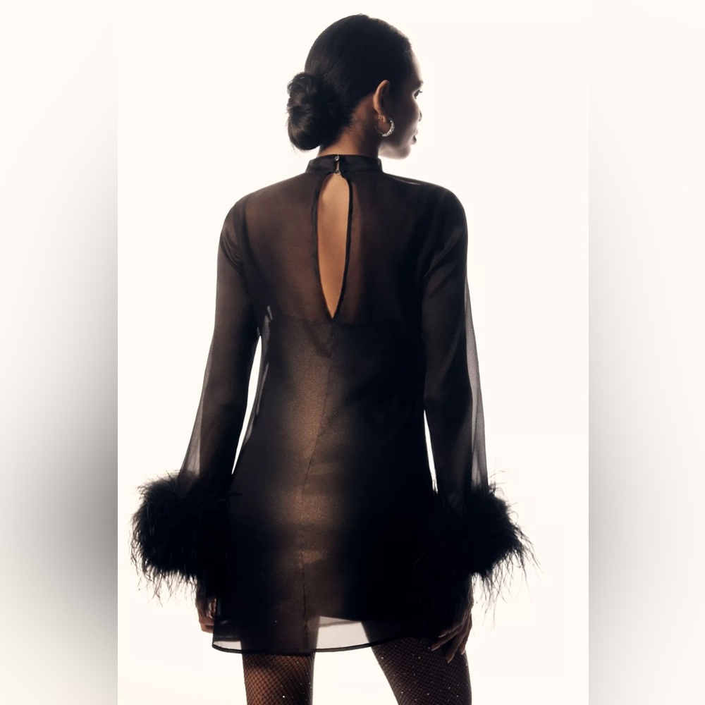 Anthropologie Hutch Long-Sleeve Turtleneck Faux-Feather Trim Sheer Mini Dress XS - Picture 4 of 12
